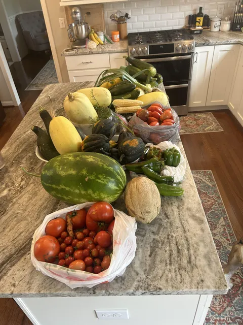 Things got out of hand