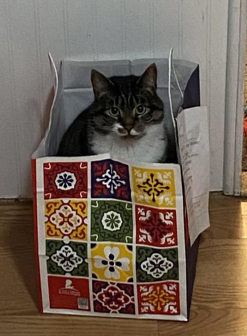 I set my Chili’s To Go order down for one second