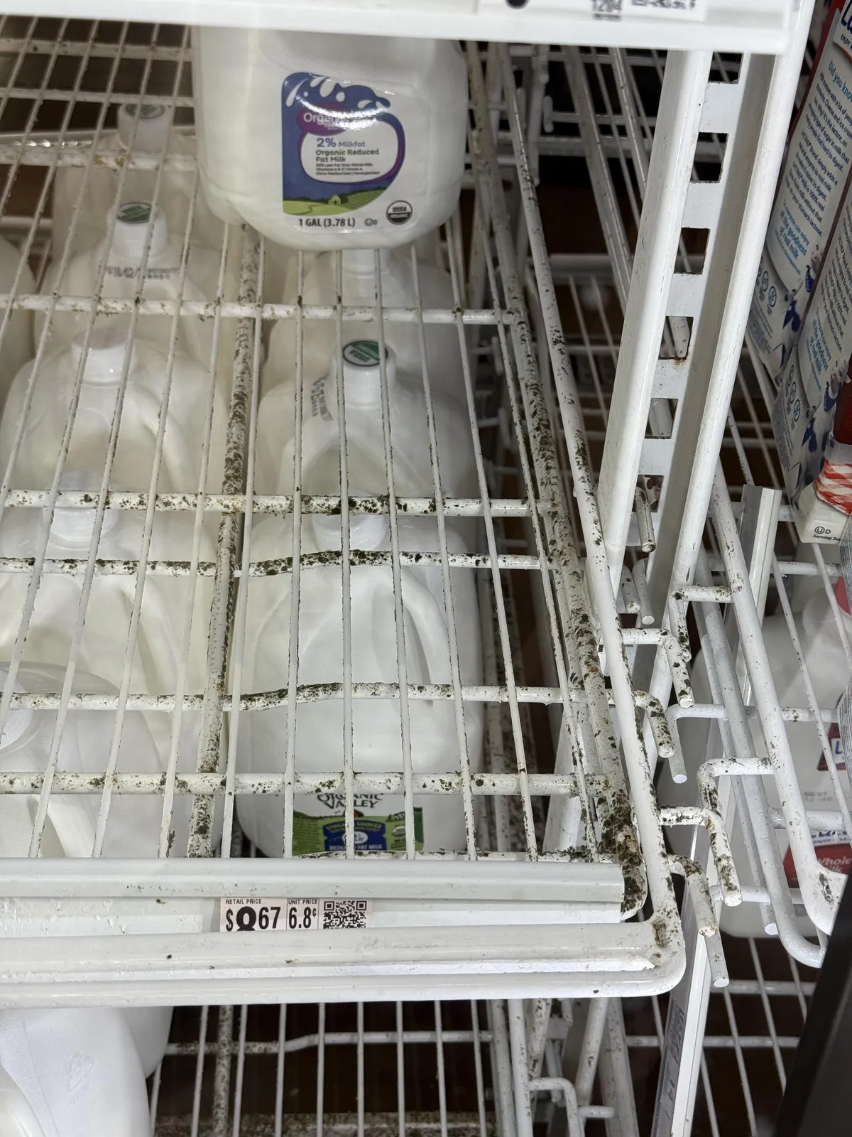 The amount of mold on the milk shelves at my local Walmart