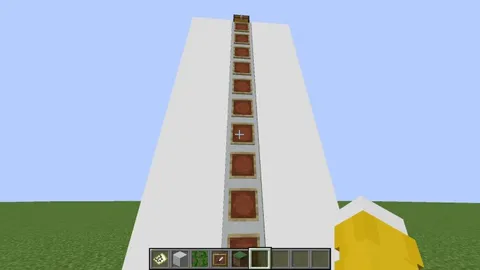 I just found out that you can make hidden ladders by using maps and vines