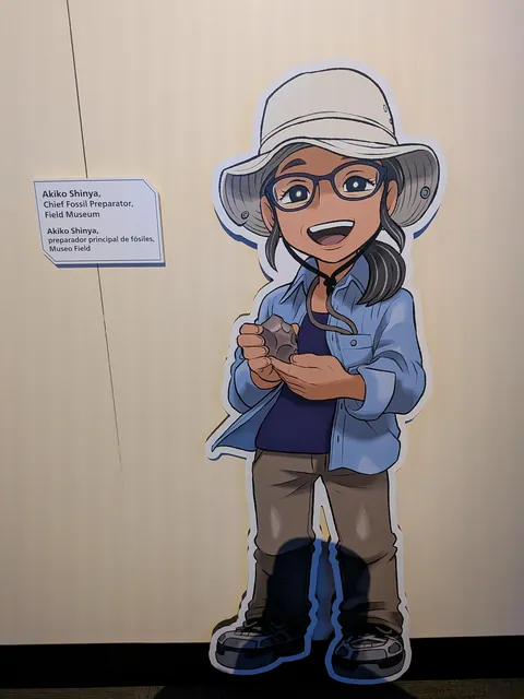 My favorite pictures from the Pokemon Fossil Museum.(I'm local).