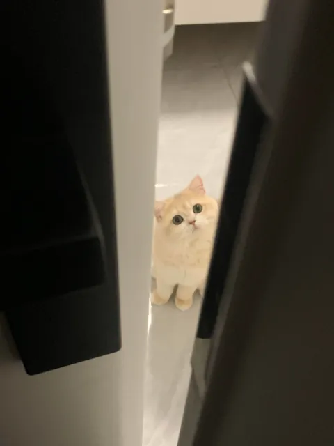 For some reason, it’s always staring at me.