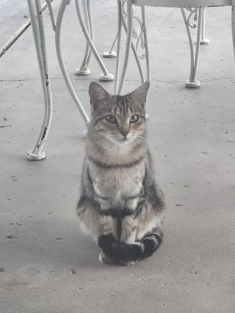 What should I do. Befriend or let her be.