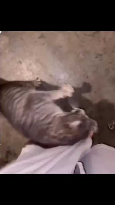 He found the real Eli