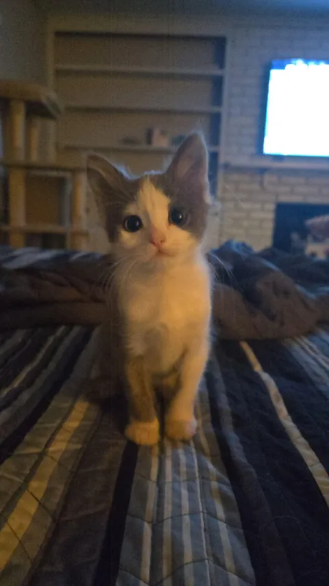 The sweetest face to come home to