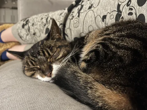 My 16yr old cutie, Lily