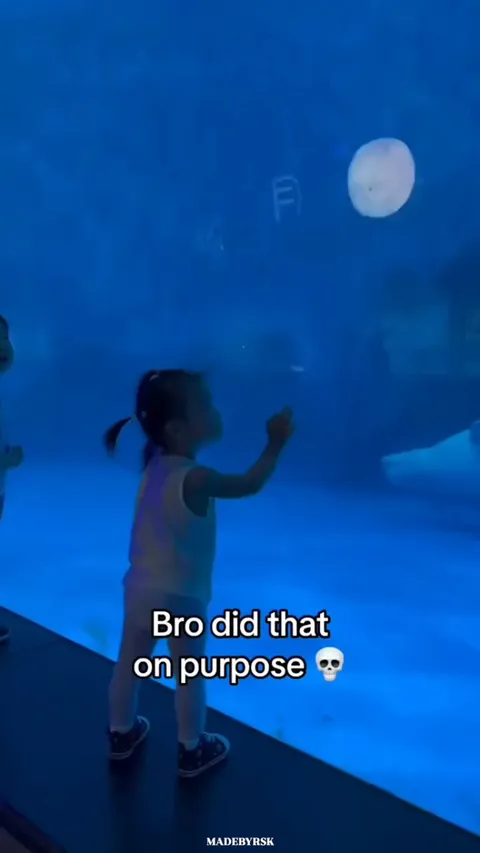 He surely did that on purpose