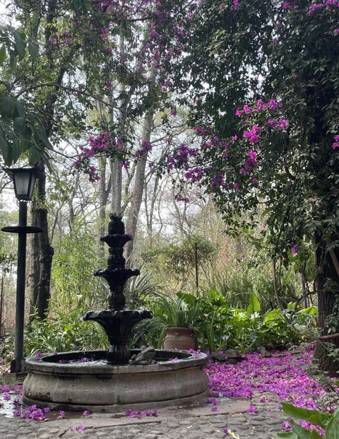 Calm hidden spot in childhood home