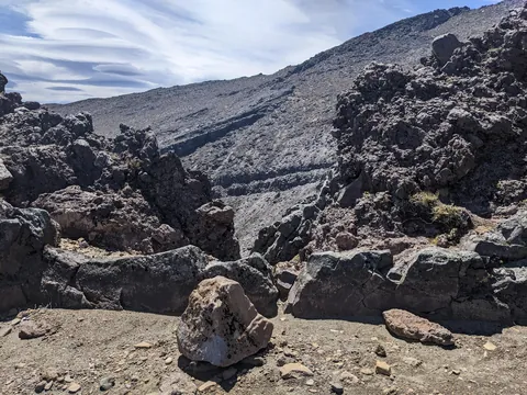 There and Probably Not Back Again: NZ Dec 2025