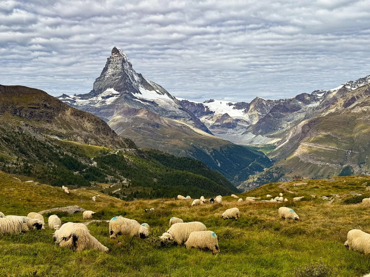 2 weeks hiking &amp; summer skiing in Switzerland August 2025 - Lauterbrunnen, Grindelwald, Thun, Zermatt, Lucerne