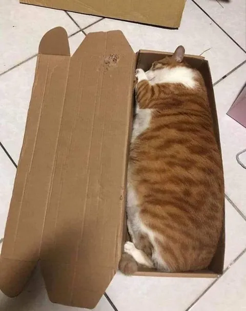 If it fits, it ships… barely.