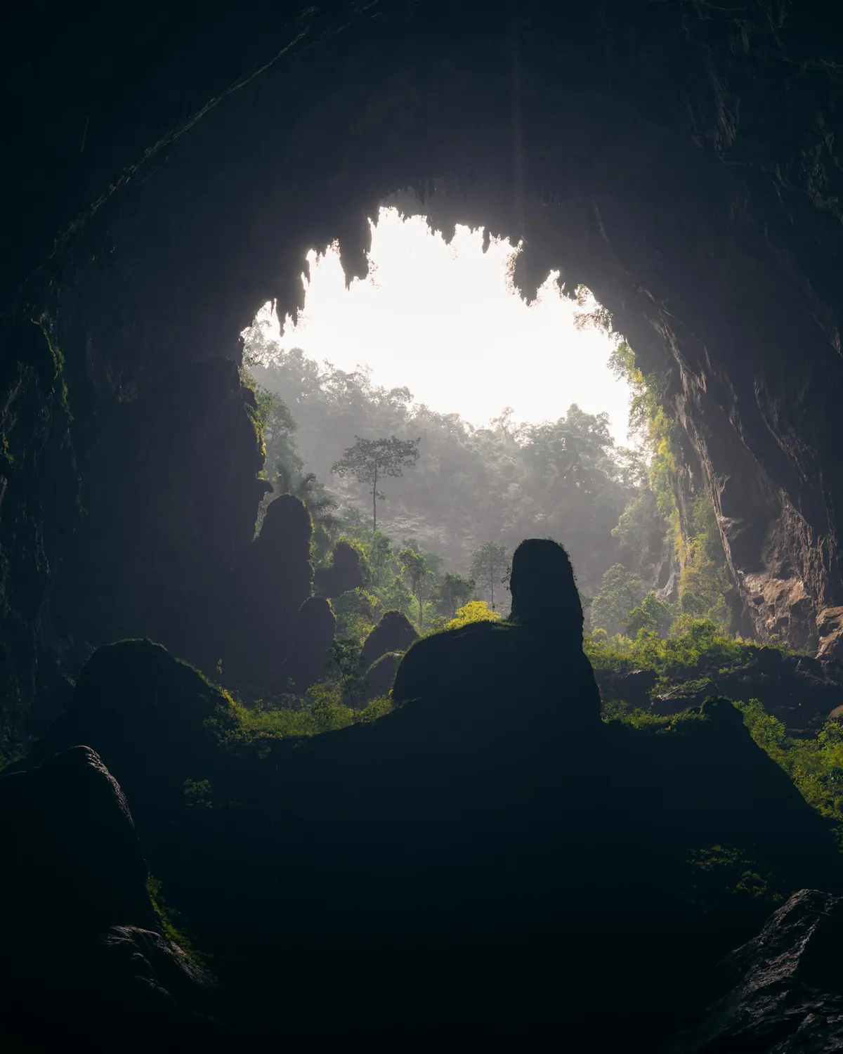 Hang Son Doong - The Largest Cave on Earth