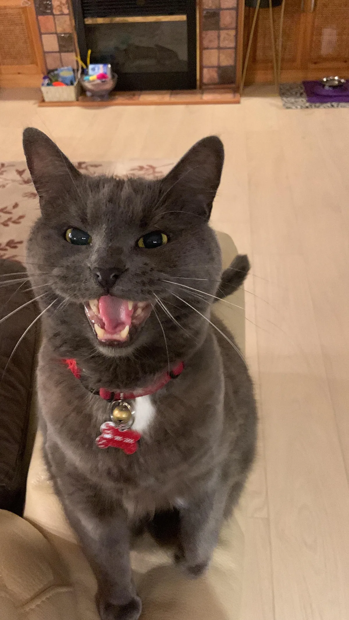 Yelling at me because I sat down on the wrong end of the couch