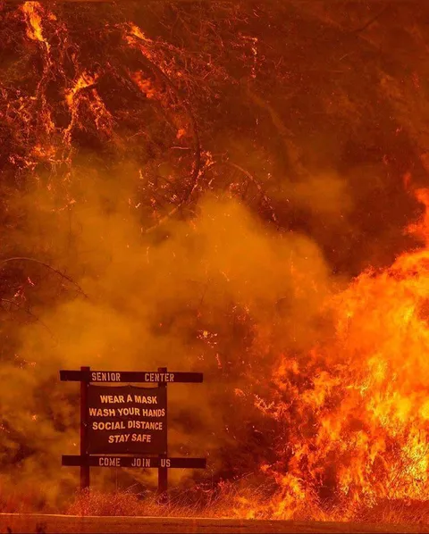 If I ever have grandchildren and they ask what 2020 was like I’ll just show them this.