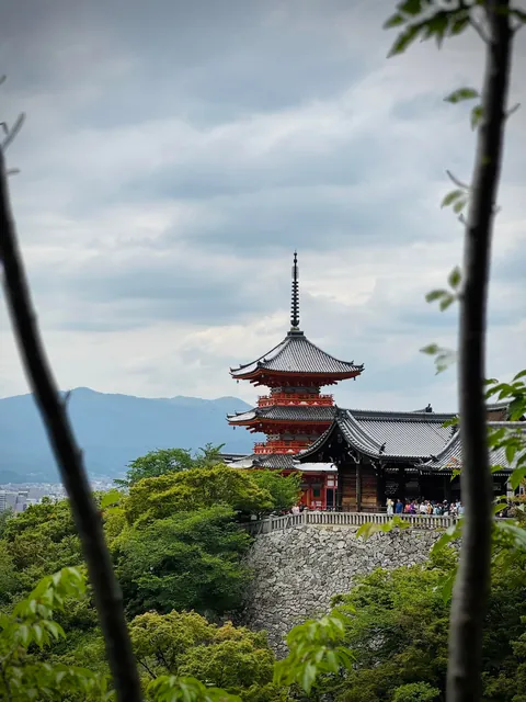 My thoughts after 2 weeks in Japan (Tokyo, Kyoto, Osaka)