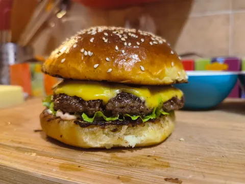 Just a plain honest homemade cheeseburger on a homemade brioche.
