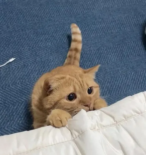 lil boy is scared🥺