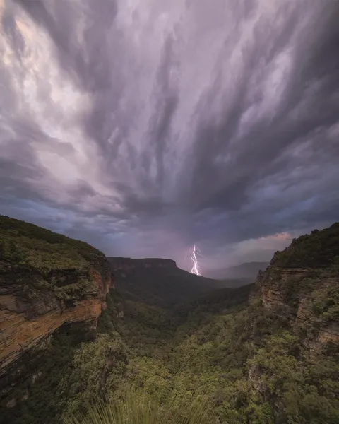 Blue Mountains, NSW, Australia [OC] [1080x1350]