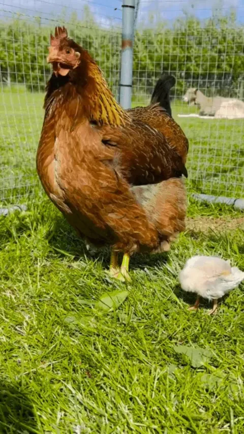 She learned how to preen from her mom