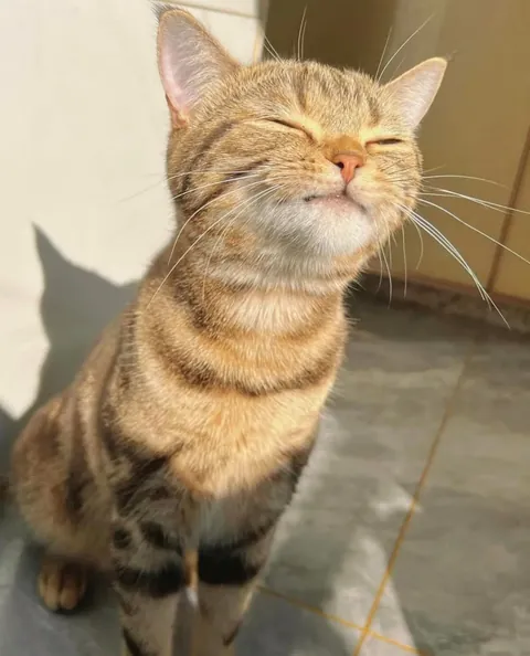 The sun Warmth is all she needs ✨✨