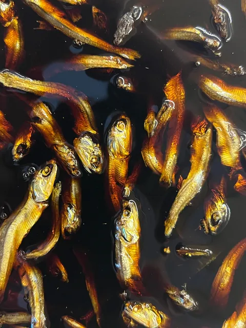 [Homemade] Beef Shoyu Ramen