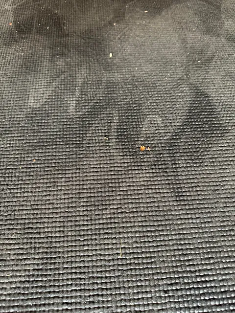 Left the garage open and found these footprints… what made them?