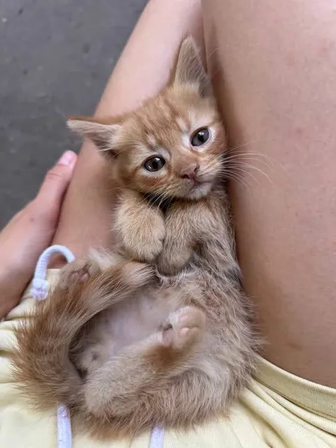 Simon has been with me for only a short time, but I feel like he is my life