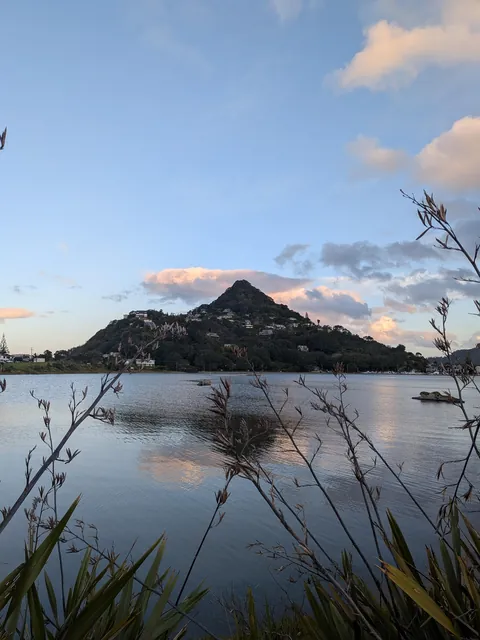 4.5 months in New Zealand