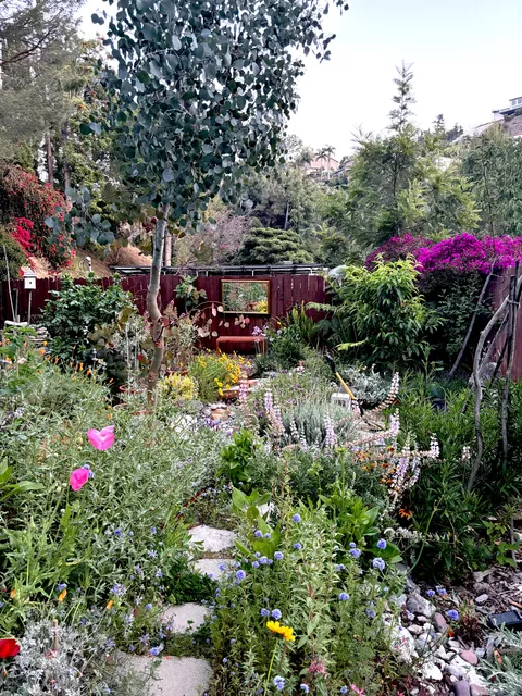 Decided to add a mirror in my garden :)