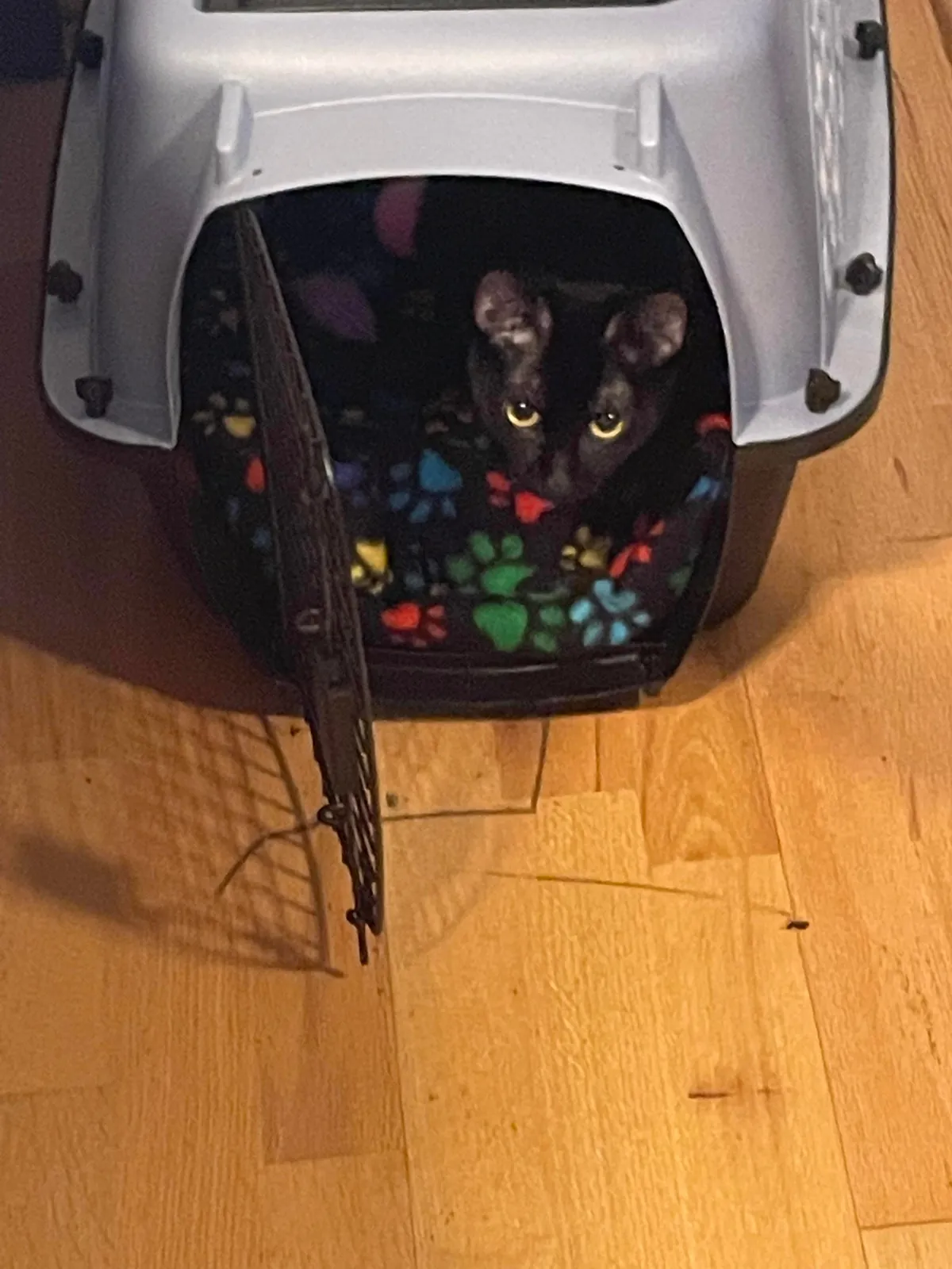 Yeppie, I love you forever.