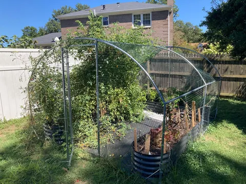 I accidentally created a monster