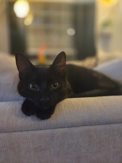 His eyes are so kind 🥹