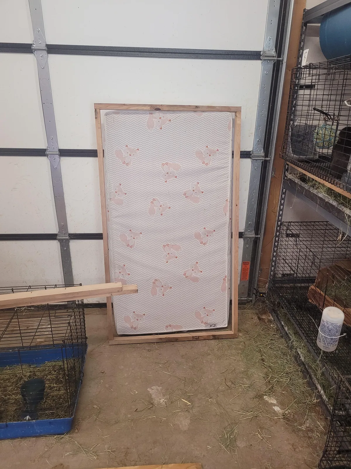 Sheepdog Too Big. Built A Bed To Match Dimensions To Our Queen. Used 100% Recycled Materials. £0 Spent. I Will Build/Install Drawer Tomorrow.