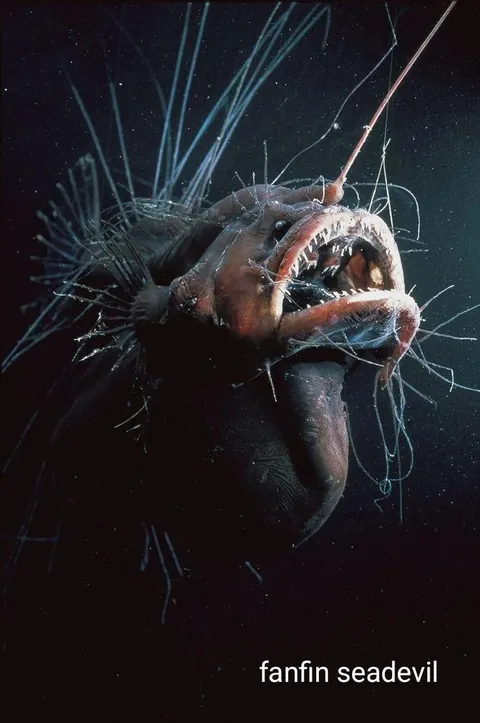 A compilation of animals whose mouths are absolutely terrifying on the inside