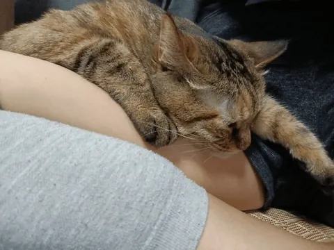 Too clingy to handle. She always wants a hug!