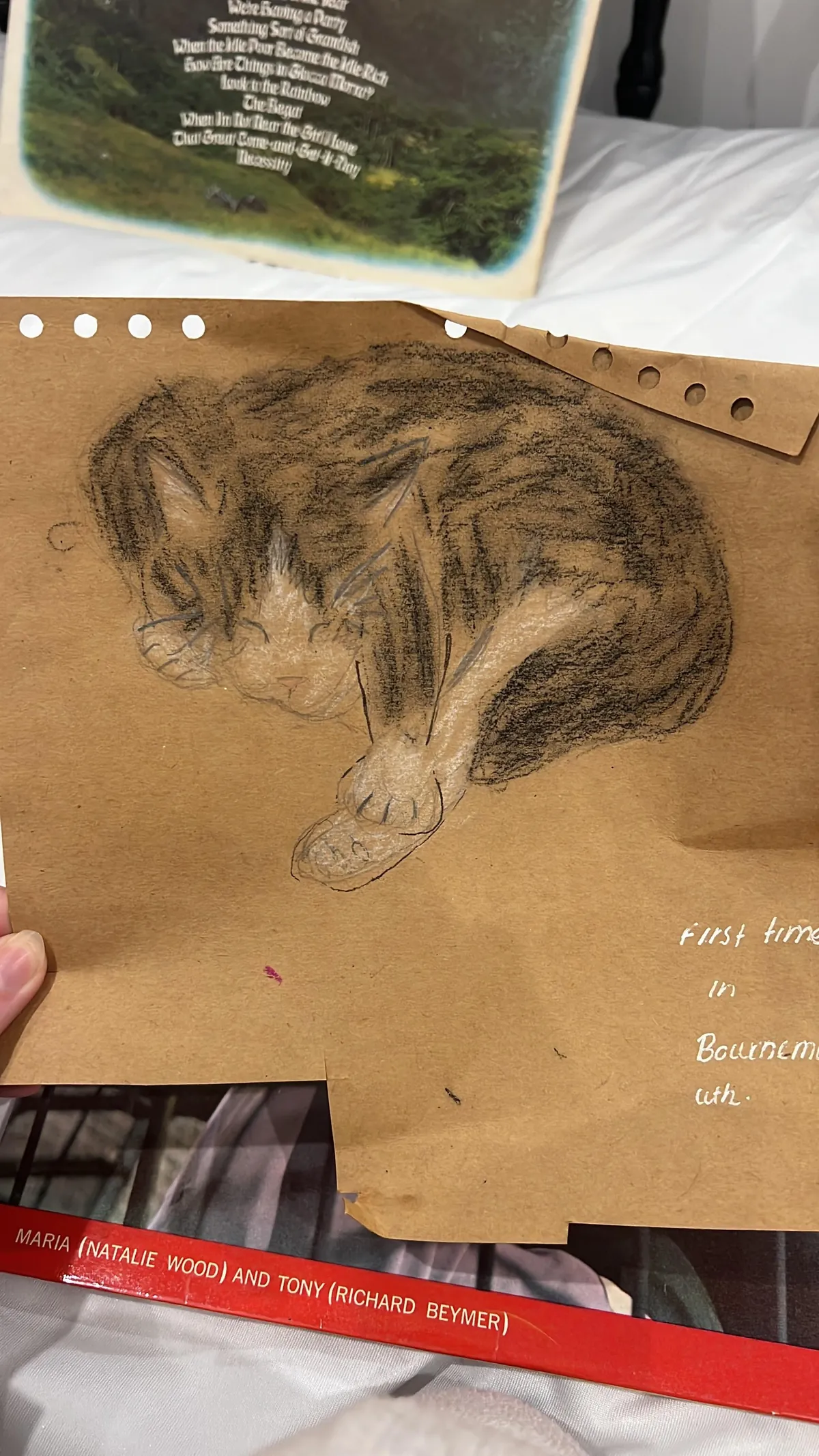 I got my first sign from my cat since she passed🥺🥺