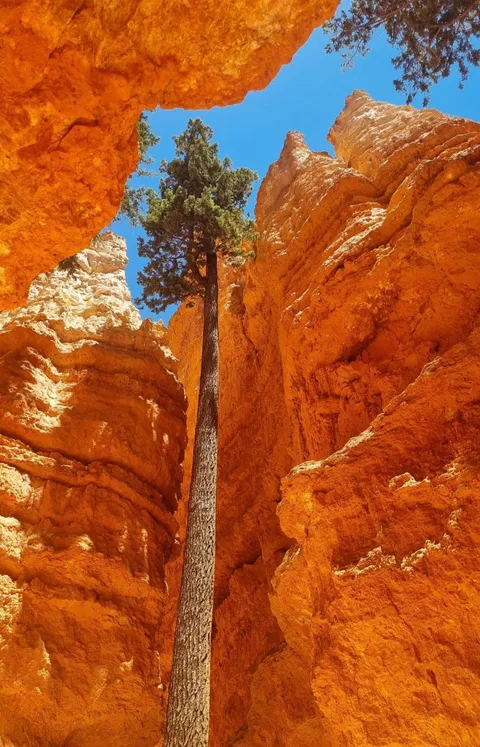 Bryce Canyon, Utah, [OC][3000X6000]
