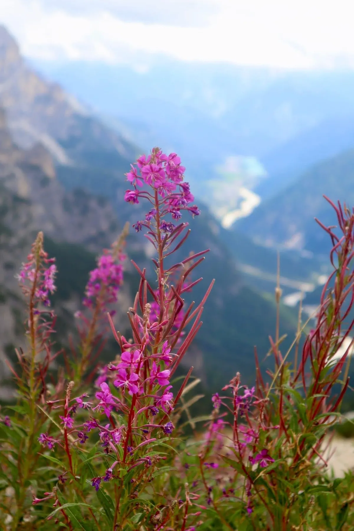 The Dolomites are incredible
