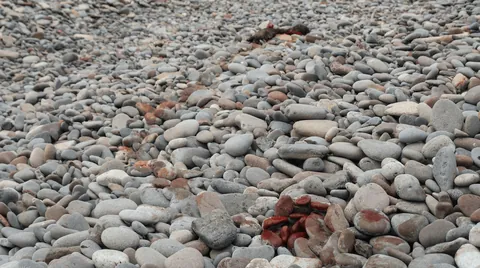 A few months ago, I hopped in my Renault Clio and took a month-long solo camping trip across Namibia.