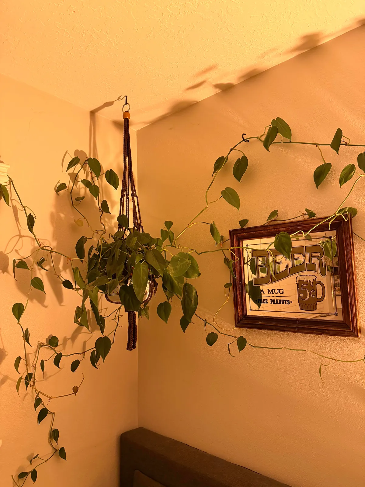 A little corner in my bedroom 🫶🏻