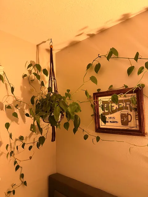 A little corner in my bedroom 🫶🏻