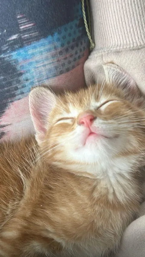 Real sleeping beauty