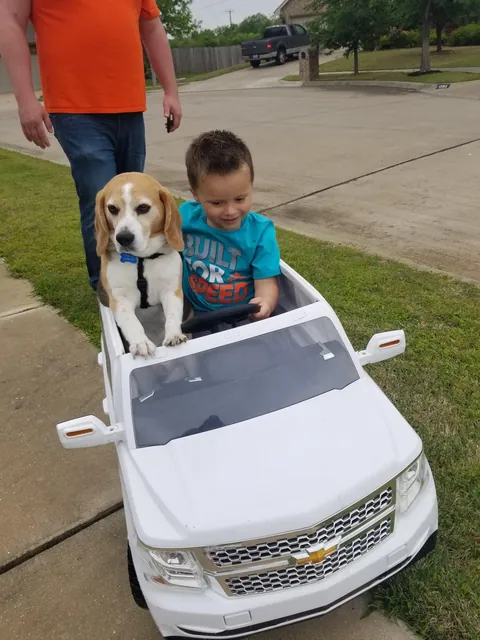 (OC) They see me rollin'