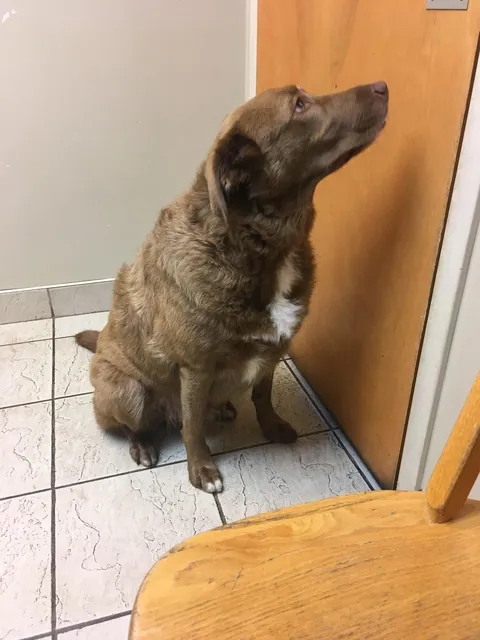 My Bassi bear tuned 10! My best boy, the best “big” brother and my best friend:)