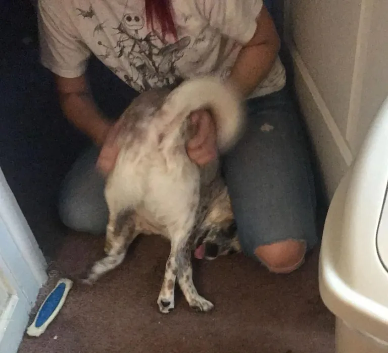 More pictures of Chief being unapologetically himself