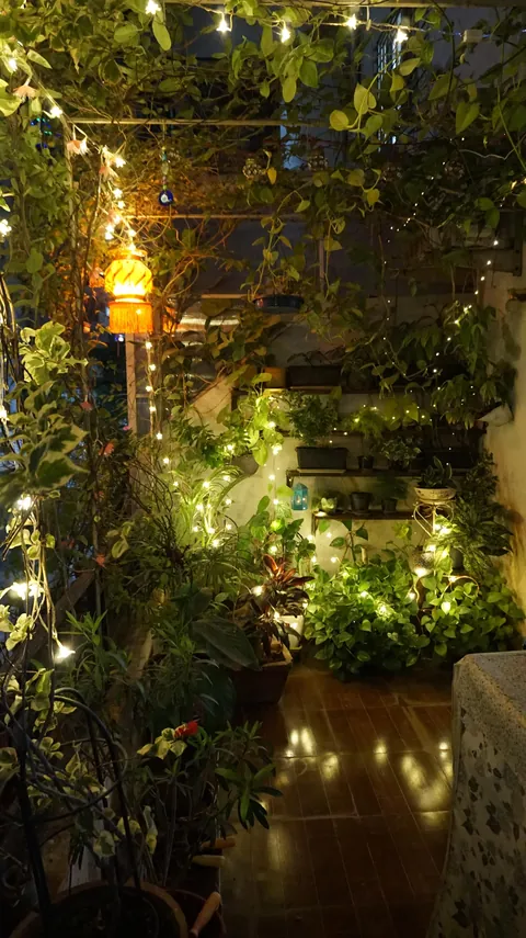 Posting my balcony garden for diwali 2025