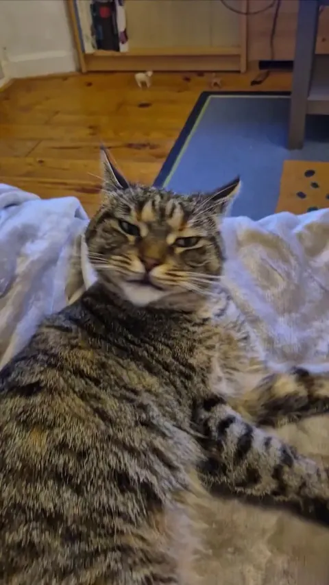 She really said "😝"