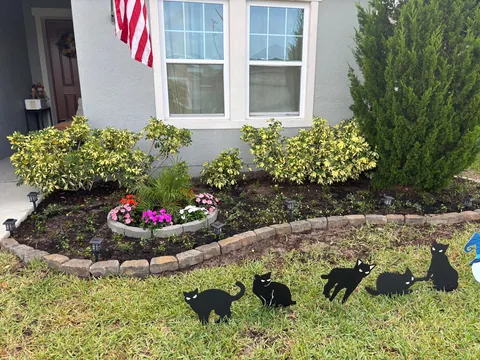 A whole day spent gardening. Before and after!