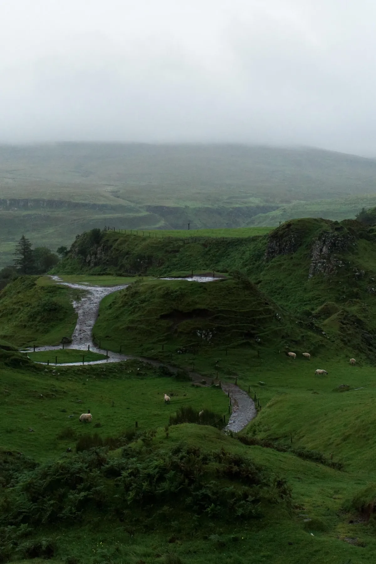 Isle of Skye, Scotland 🏴󠁧󠁢󠁳󠁣󠁴󠁿