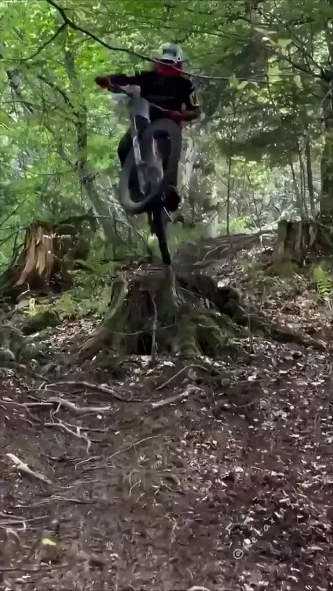 Master of redirection